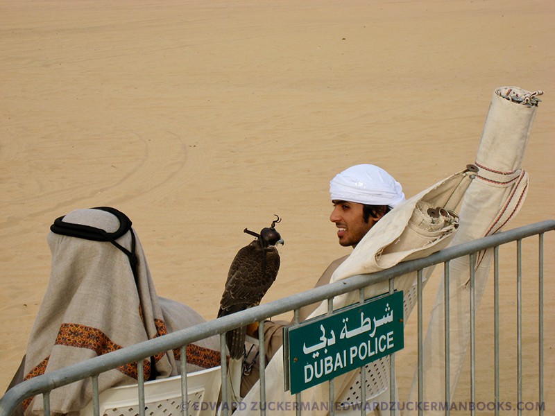 Photo of two men sitting on chairs near a gate with a falcon | credit Edward Zuckerman